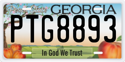 GA license plate PTG8893