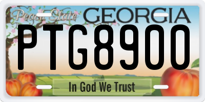 GA license plate PTG8900