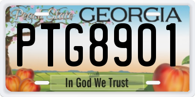 GA license plate PTG8901