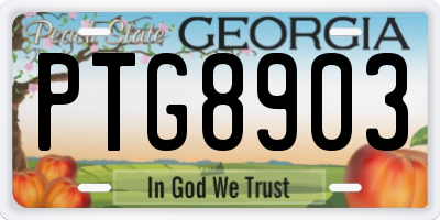 GA license plate PTG8903
