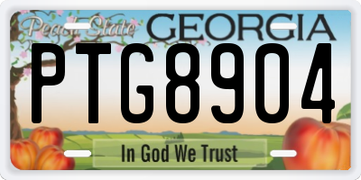 GA license plate PTG8904