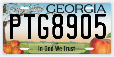 GA license plate PTG8905