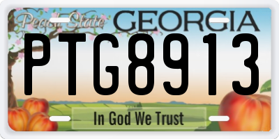 GA license plate PTG8913