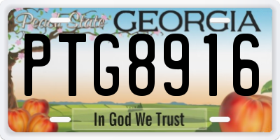 GA license plate PTG8916