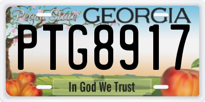 GA license plate PTG8917