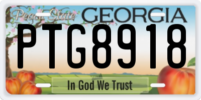 GA license plate PTG8918
