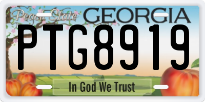 GA license plate PTG8919
