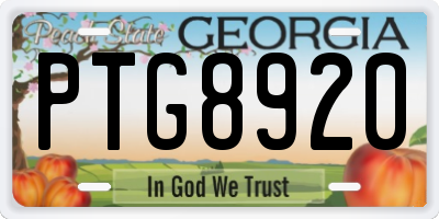GA license plate PTG8920