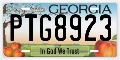 GA license plate PTG8923