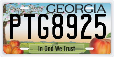 GA license plate PTG8925