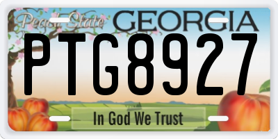 GA license plate PTG8927