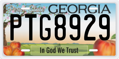 GA license plate PTG8929