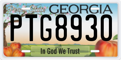 GA license plate PTG8930