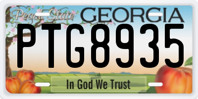 GA license plate PTG8935