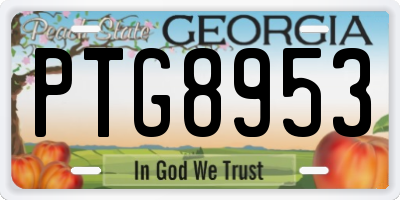 GA license plate PTG8953