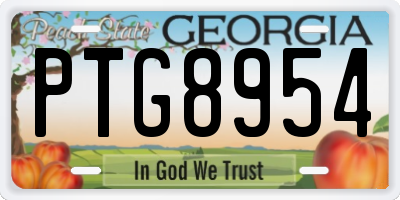 GA license plate PTG8954