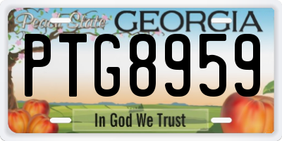 GA license plate PTG8959