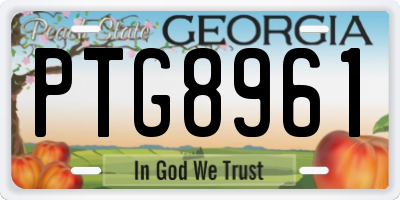 GA license plate PTG8961