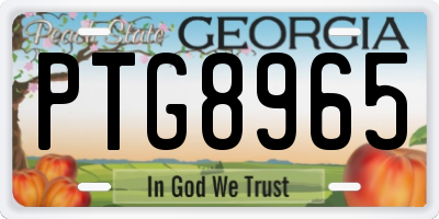 GA license plate PTG8965
