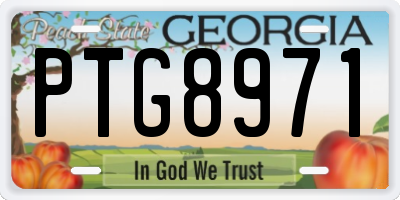 GA license plate PTG8971