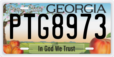 GA license plate PTG8973