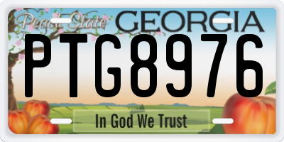 GA license plate PTG8976