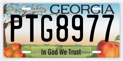 GA license plate PTG8977