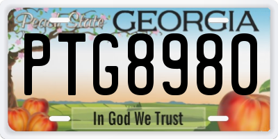 GA license plate PTG8980