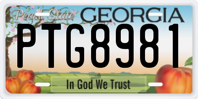 GA license plate PTG8981