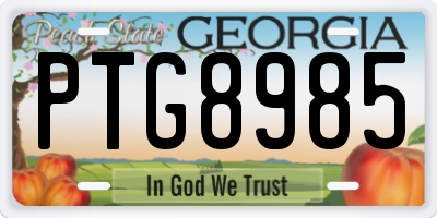 GA license plate PTG8985