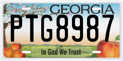 GA license plate PTG8987
