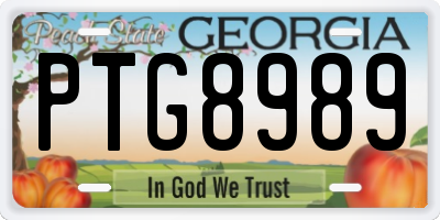 GA license plate PTG8989