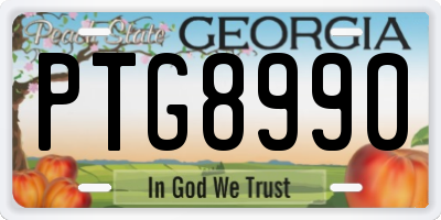GA license plate PTG8990