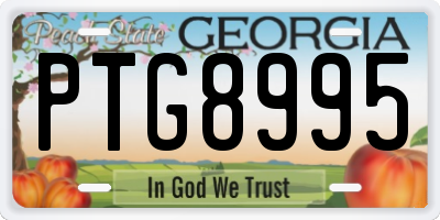 GA license plate PTG8995