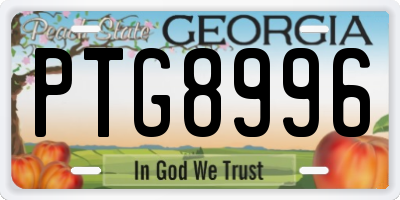 GA license plate PTG8996