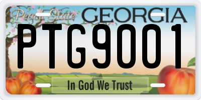 GA license plate PTG9001