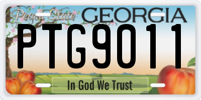 GA license plate PTG9011