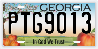 GA license plate PTG9013