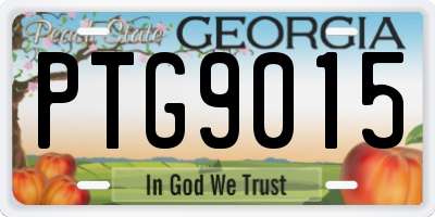 GA license plate PTG9015