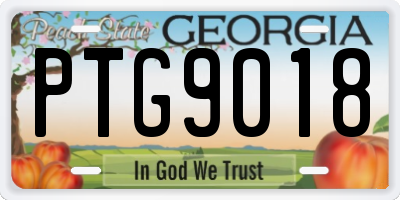 GA license plate PTG9018