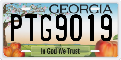 GA license plate PTG9019