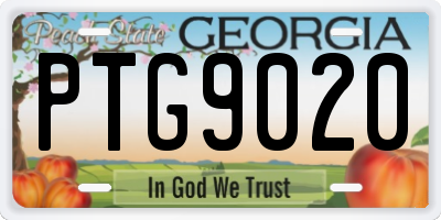 GA license plate PTG9020
