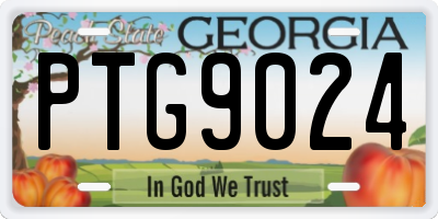 GA license plate PTG9024