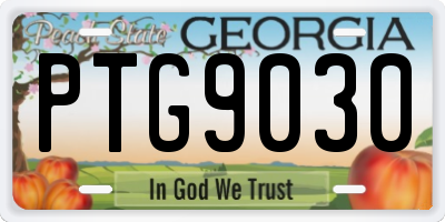 GA license plate PTG9030