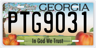GA license plate PTG9031
