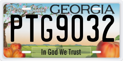 GA license plate PTG9032