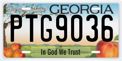GA license plate PTG9036