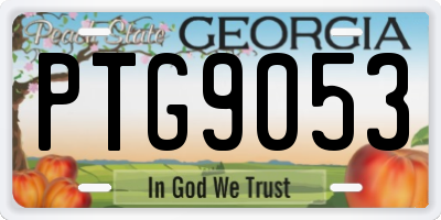 GA license plate PTG9053