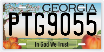 GA license plate PTG9055