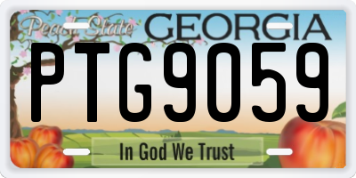GA license plate PTG9059